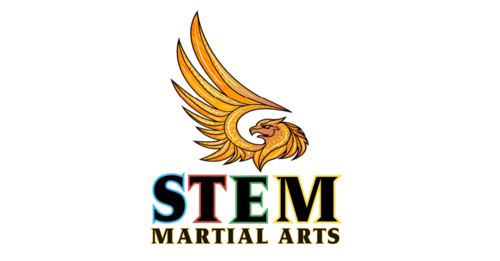 STEM Martial Arts Summer Camp